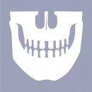 DentalCAD Dauer-Lizenz DICOM Viewer