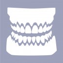 DentalCAD Perpetual License FullDenture Module