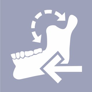 DentalCAD Dauer-Lizenz Jaw Motion Import