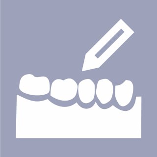 DentalCAD Flex-Lizenz Model Creator