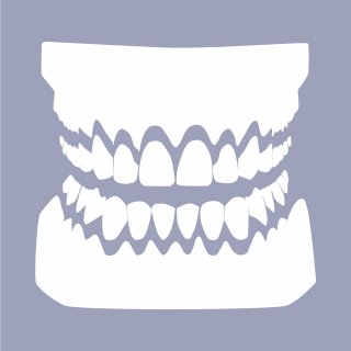 DentalCAD Flex-Lizenz FullDenture Module