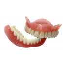 Denture Teeth Material 3D Print