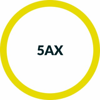 5AX (axis) simultaneous module